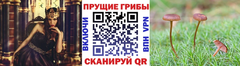 Псилоцибиновые грибы Magic Shrooms  Белово 